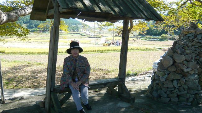 韓流ファンの家内、やはり座ってみました。