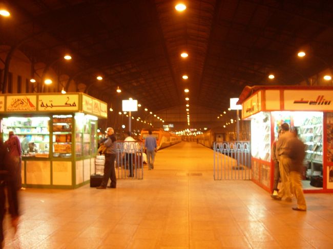 ラメセス駅より22時30分発の電車に乗り、ほぼ国鉄の終点であるアスワンに向かう。<br /><br />なんで先にアスワンかというと。。。<br />途中の駅で降りられる自信がなかったから＞＜<br /><br />これから17時間の旅始まりま〜す。<br /><br /><br />(写真は駅。)