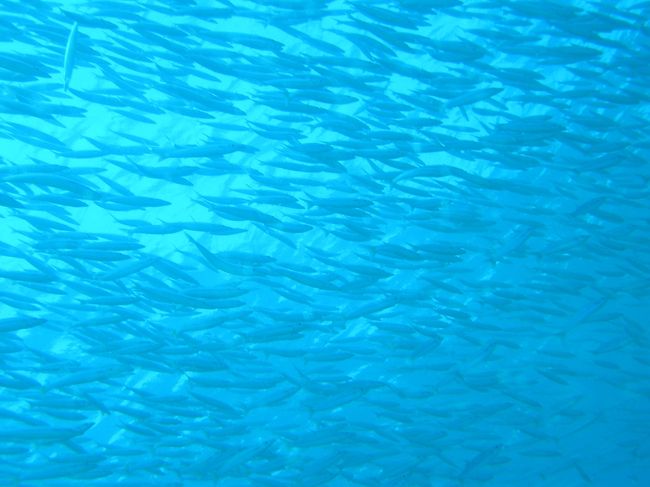 こっちにも突撃〜〜＝＝＝＝＝＝＝＝＝3