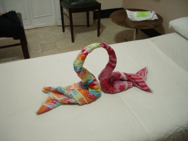 宿にもどったらこんなステキなサービスが♪<br /><br />ちなみに宿代60LE<br />今回の旅で一番豪華です＞＜<br /><br />