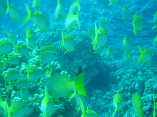 こっちにも突撃＝＝＝＝＝＝＝＝＝＝＝＝＝3