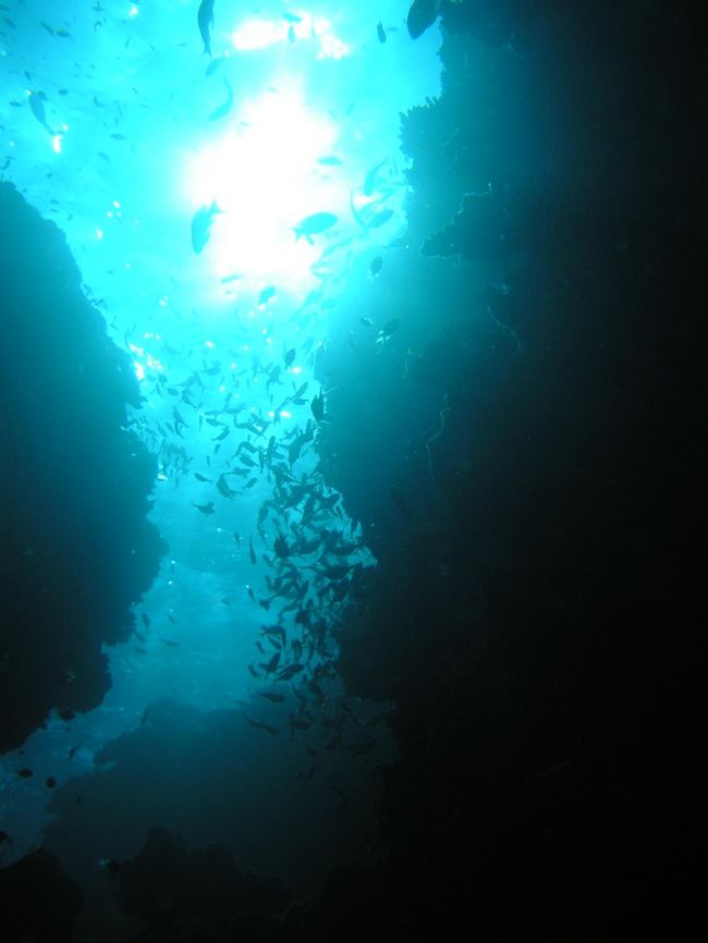 上を見上げると。。。