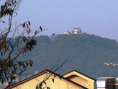 湯月八幡伊佐爾波神社境内から望む松山城