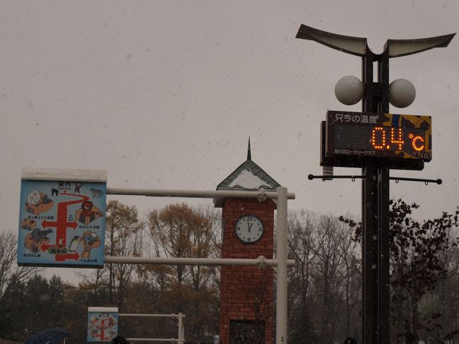 0.4℃だそうです（泣）<br />ぶるぶる・・・。