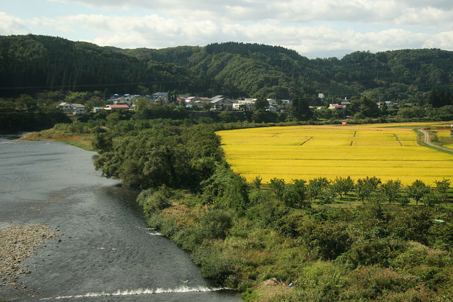 最上川に向かってバスは走ります。<br />その途中に見える景色を撮りました。<br />黄金色の畑が美しかったです。