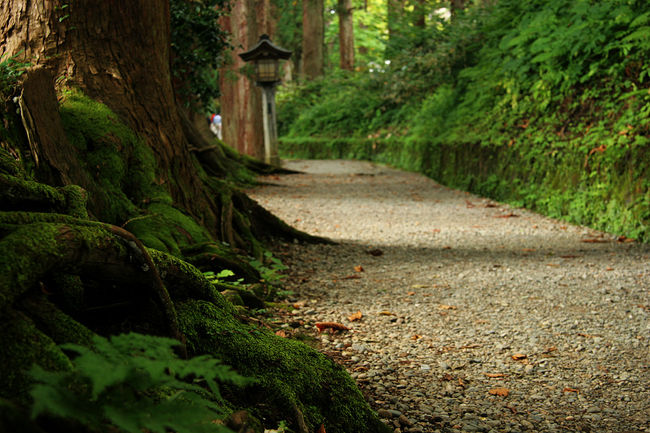 バスでご一緒の方々もゆっくり〜^^<br />時間もゆったり目だったので、焦って急がなくても<br />十分時間は有りました。