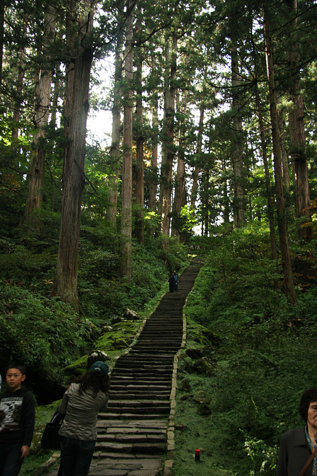 あ〜ぁぁ、、この日も階段。。^^;<br />杉の並木道?を眺めながらだから歩けるのかも・・・