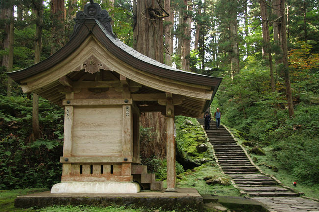 親切な振りをして、、、他の方々の写真を率先して撮ってあげています。<br />写真を撮っている振りをして、、、実は休憩してます。<br /><br />この日、リュックは担いでいませんでしたが、こうも<br />足場の悪い階段ばかりで・・・<br />日々の運動不足のツケが、身体に分かり易く現れます。