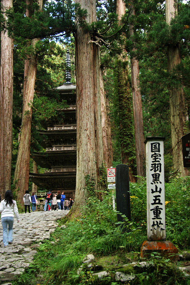 暫らく歩くと、羽黒山 五重塔（国宝）が見えてきました!<br />東北地方では最古の塔と言われています。<br /><br />全く色がなく、周りの杉と同化しているような・・・<br />色が無いので派手で豪華な印象派有りませんが、<br />色が無いのから良いのかも知れません。<br />堂々とした五重塔です。