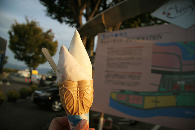 チェリーランドと言う所で休憩です。<br />チェリーランドに有る、このアイスクリームを買うのに<br />10分は並びました。<br />季節ごとに新商品を出すらしく、茄子とか少し変わった<br />アイスクリームも有るようです。<br /><br />私が選んだのは、さくらんぼとお米です。<br />これが今日のおやつです^^v<br />甘さ控え目でさっぱりっ〜ぽいアイスでした。<br /><br />バスの乗客は、山形駅で下車する人は少なかったです。<br />殆どの乗客は、そのまま蔵王まで乗って行きました。<br />私の観光バスの旅はこれで終わっちゃいます。<br />一人参加なのでその雰囲気も心配でしたが、各所の時間もたっぷりで他のお客さんも親切な方々ばかりで、よい思い出になりました。<br />またどこかで乗る機会が有れば、その時も思いっきり<br />楽しみたいです♪