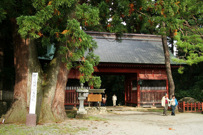 これから五重塔です〜