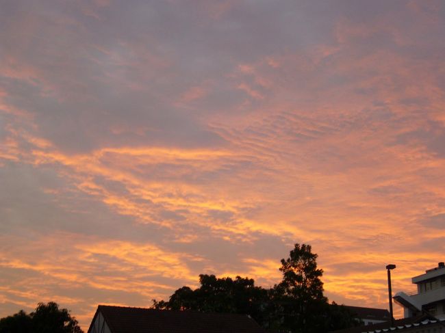 お買い物途中、ふと空を見上げたら、綺麗な夕焼けが。