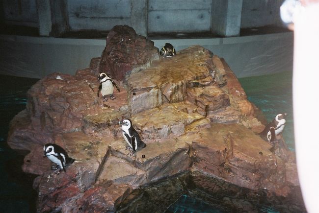 ニューイングランド水族館