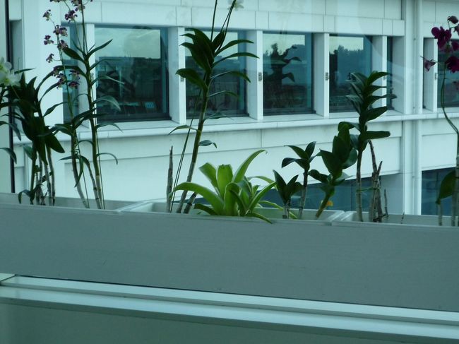 那覇空港到着<br /><br />久々やっと来たぁ〜♪♪