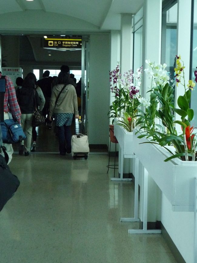 飛行機を降りてこの花々を見ると<br />沖縄に来たなと感じます