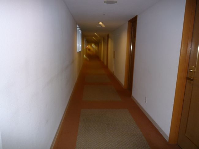 部屋の前の廊下<br />かなり端の部屋だったのでエレベーターまで<br />距離があります。
