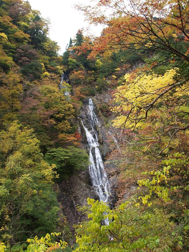 滝めぐりシリーズ９９　もうひとつの千丈滝　鳥取県鳥取市