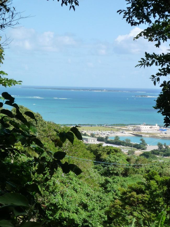 木々の間から絶景