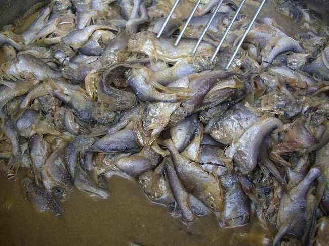 魚の塩辛<br /><br /><br />こちらは魚の塩辛です。<br />臭いはあまり気になりませんでしたが、ちょっと見た目が発酵食品？って感じでした。<br /><br /><br />■Photolibrary<br />http://www.photolibrary.jp/img69/69_200975.html