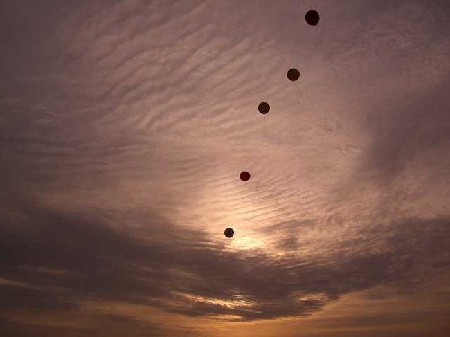 夕暮れのアドバルーン<br /><br /><br />夕暮れの空に一列に並ぶアドバルーンです。<br /><br /><br />■Photolibrary<br />http://www.photolibrary.jp/img69/69_201739.html