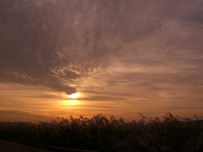 秋の夕暮れ<br /><br /><br />ススキのシルエットの向こうに日が傾いてきました。<br /><br /><br />■Photolibrary<br />http://www.photolibrary.jp/img69/69_201743.html