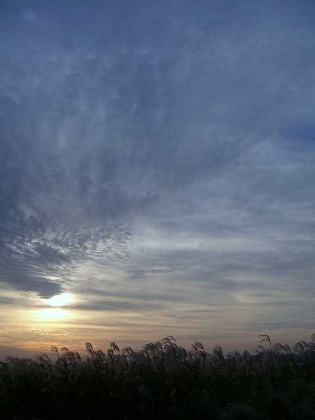 秋の夕暮れ<br /><br /><br />秋空とススキ、夕陽がいい感じでシルエットを作っています。<br /><br /><br />■Photolibrary<br />http://www.photolibrary.jp/img69/69_202180.html