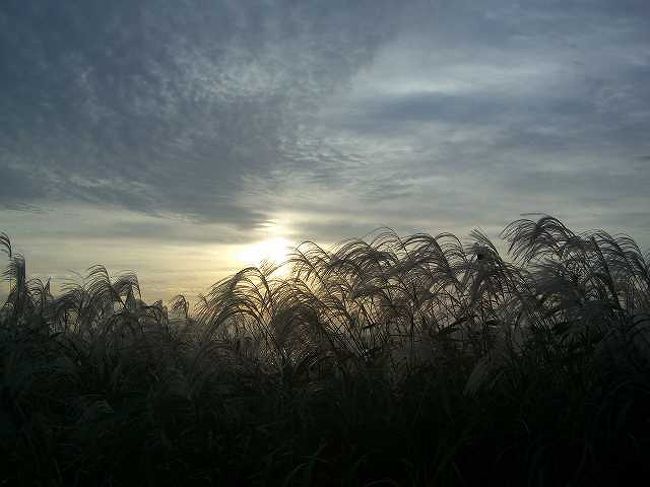 ススキと夕暮れ<br /><br /><br />ススキの向こうに日が傾いていきます。<br />秋の江景はちょっと涼しげな感じになってきました。