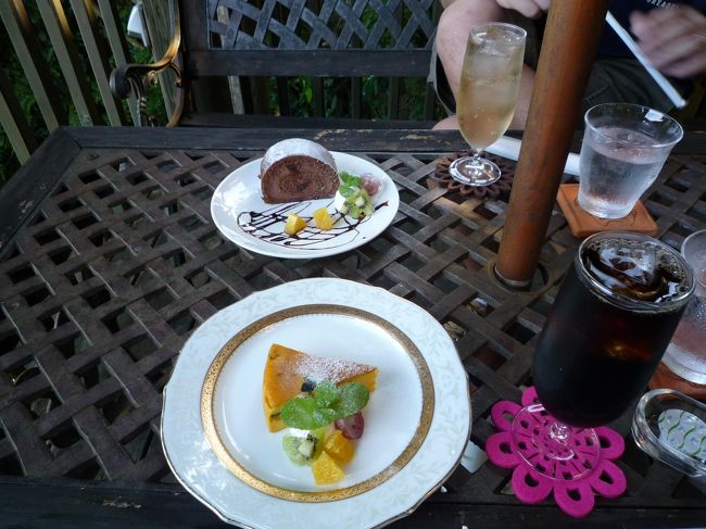 ２人でケーキセットを頼みました<br /><br />手前が　<br />ベークドチーズケーキ（今日はかぼちゃ味との事）<br /><br />奥がチョコレートケーキ<br /><br />どちらも味が濃厚で　おいしかった