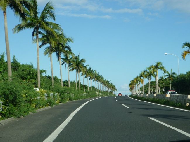 ホテルに戻ります〜<br /><br />読谷の　mintamaと読谷物語　近日公開