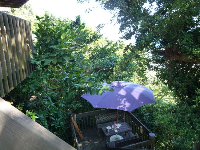 外のテラスが空いてるとの事で<br /><br />こちらのステキな席に案内されました。