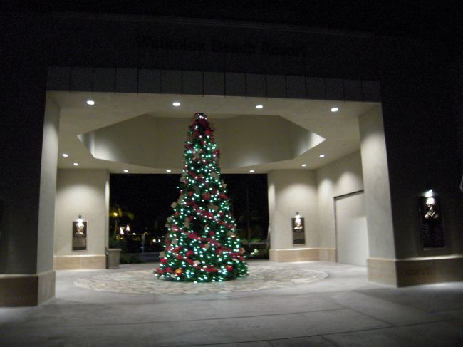 デーーンッとクリスマスツリーが飾られていました。