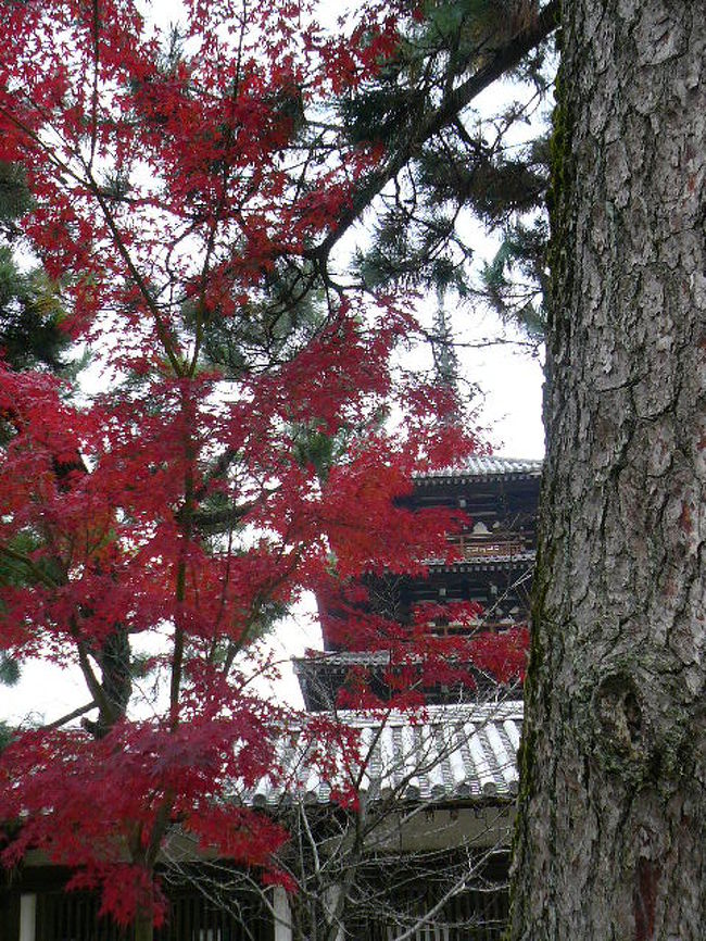 とりあえず道すがら..........