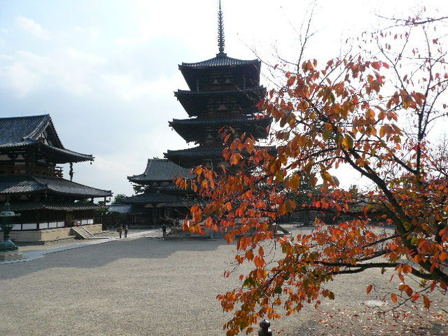 少し秋をイメージしております(^^ゞ