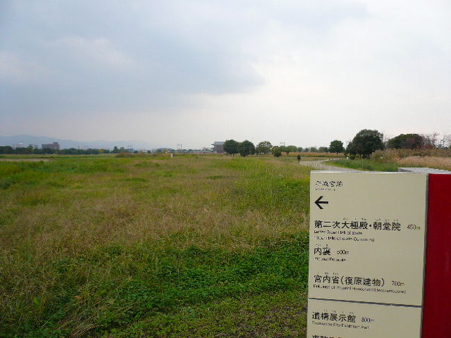 時間があまりないので早速裏手に回ります。遠くの木の近くにあるのが朱雀門です。約800ｍ先だそうです。