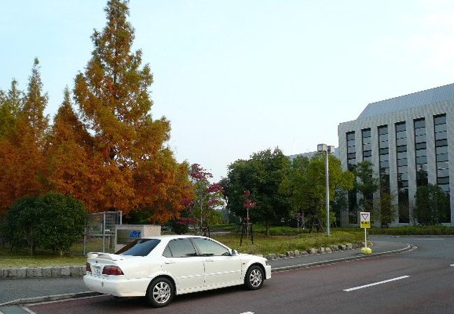 いざ出発です(笑)。結局調査が終わったら外はもう真っ暗になってましたね。初めて実物のSIEMENS製MRIを見たり、同意書や装置の説明受けたりと非常に楽しかった！？です。でも調査中MRI内では絶対に寝ないで下さいね♪って言われていたのに、一瞬だけ完全に落ちそうになったのはワレながら驚きました(汗)モニターからはまさに丸見えでしょうから(笑)<br /><br />今回もいいおもひでになりました。もう少しで今年も終わりですがまた何か機会があれば「ぷらっ」と行きたいものです。ありがとうございました。