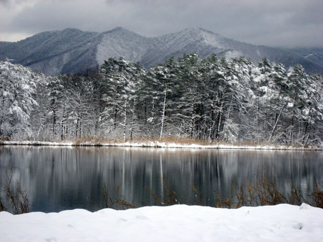 紅葉も雪化粧 （2）Goshikinuma, Fukushima pref. Japan』裏