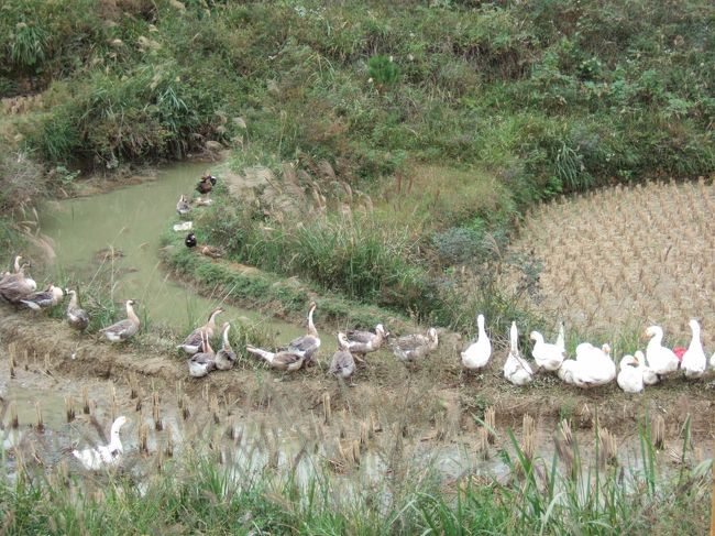 ここから天龍峡へのトレッキング。村の奥へ奥へと進んでいく。
