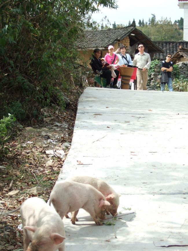 疲れた・・・長距離のアップダウンは体に堪える。同行の中国人は体力ありすぎ。