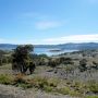 オーストラリア大陸の最高峰、Mt Kosciuszko （コジオスコ）登頂