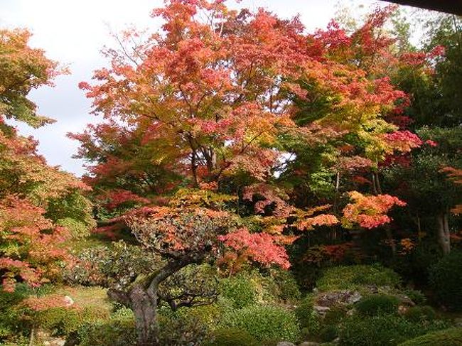 京都・鷹峰の源光庵の紅葉』今出川・北大路・北野(京都)の旅行記