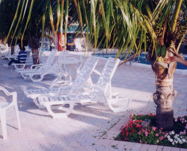 　思えば、ホテル代が安くないマイアミでは、このような宿の存在は助かります。<br /><br /><br />