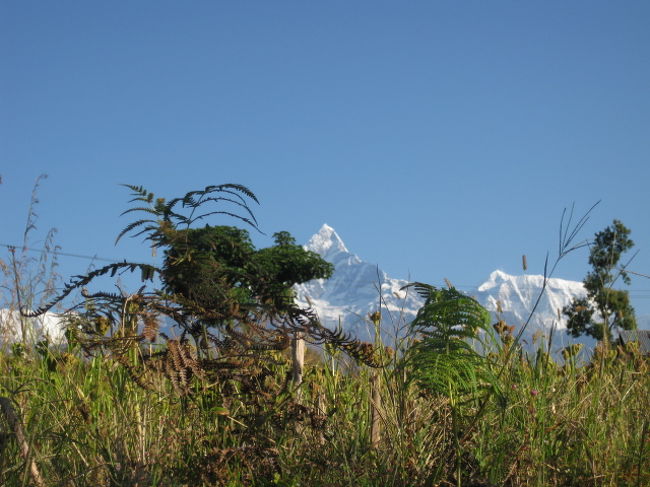 日中の様子です