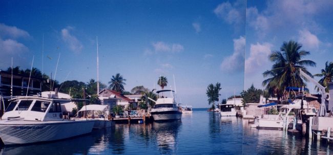 　国道１号線を南下すると、しばらくは殺風景な景色を進みますが、やがて海の香りがしてきます。<br />　明日の午後のマイアミ発の飛行機で発つことになっていますから、びゅんびゅんとばしていたいましたが、<br />　島嶼部に入ってまもなく右手に“マリーナ”の表示が見えたので、そこを折れて、ちょっと寄り道してみることにしました。<br /><br /><br />　「わあー、すてきー。」<br /><br />　静かな運河のようなマリーナには、クルーザーやボートが繋がれていました。<br />　キーマイアというこの島の地元の人と話をすると、ここではみんなボートを持っていて、車代わりで使っているのだと言う。<br /><br />　「本当ですか。」<br />　「ああ。バックカントリーはもう行ったかい？」<br />　「えっ。バッ、バッ？」<br />　「バックカントリーさ。運がよけりゃ、マナティーやワニとか見れるんだよ。」<br />　「へえ、そんな良いところなんだ。」<br /><br />　“Back Country ”<br /><br />　最近になって日本でも耳にするようになった言葉ですが、「奥地」とでもいうのでしょうか。<br />　こちらの人の使い方では、自然の豊かな場所、みたいな感じで使ってました。<br /><br />　彼の名はデイブといって、厚木の基地にいたこともあると言いました。<br />　しばらく経って、彼が日本に送ってくれた写真には、巨大な魚を釣り上げてガッツポーズをするご本人が写ってました。<br /><br />　
