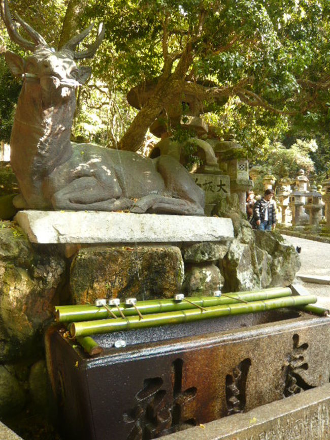春日大社の手洗い場は鹿から水が出ています。