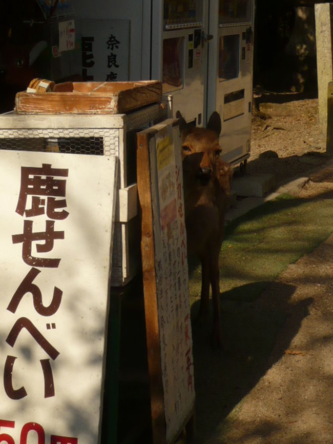 何とも言えない切ない目でこちらを見ていました。。。