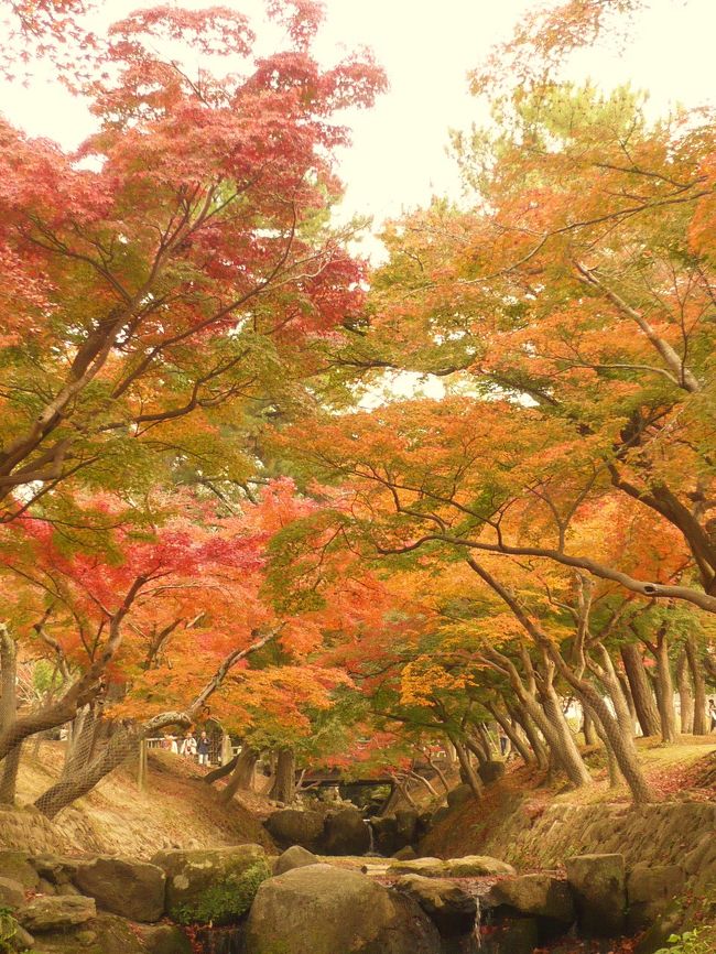 曇っていたのが残念。晴れていたらもっときれいだったはず・・・・