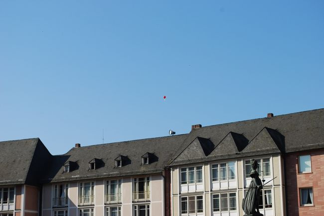 どこまで舞ってゆくのでしょうね。