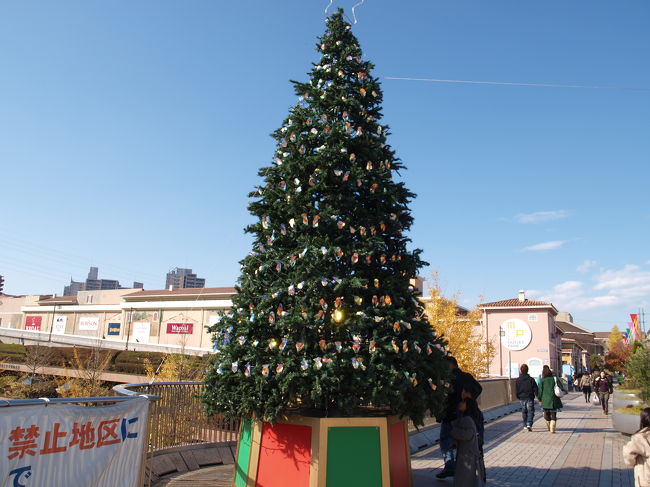 駅前の巨大なツリー