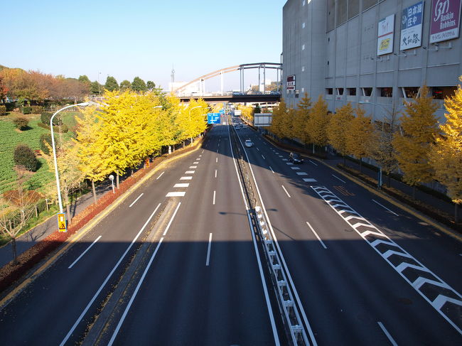 駅前の銀杏並木