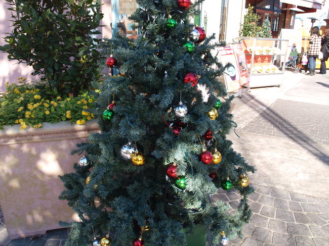 こっちは小さなツリー